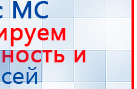 Электрод Скэнар - лицевой двойной Пешки купить в Лесне, Электроды Скэнар купить в Лесне, Скэнар официальный сайт - denasvertebra.ru